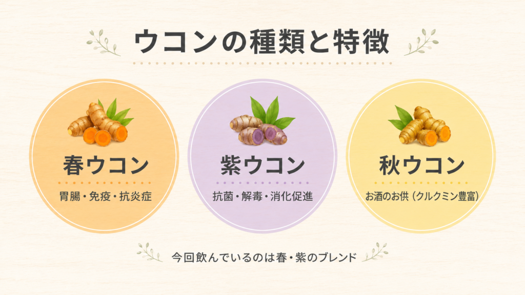 ウコンの種類と特徴の図解。春ウコン・紫ウコン・秋ウコンの3種類とそれぞれの特徴を並べている